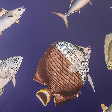 Apartament Korfantego 9 Gliwice