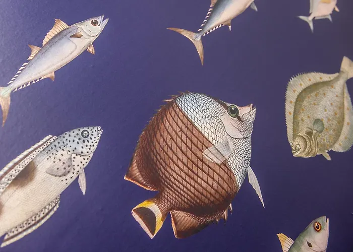 Apartmán Korfantego 9 Hlivice